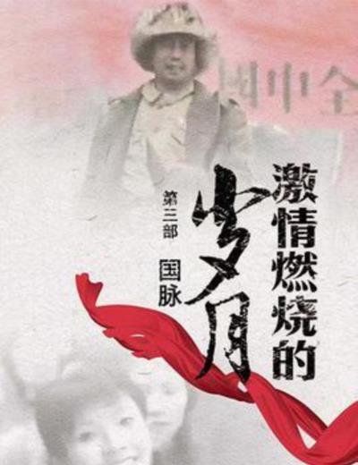 激情燃烧的岁月3