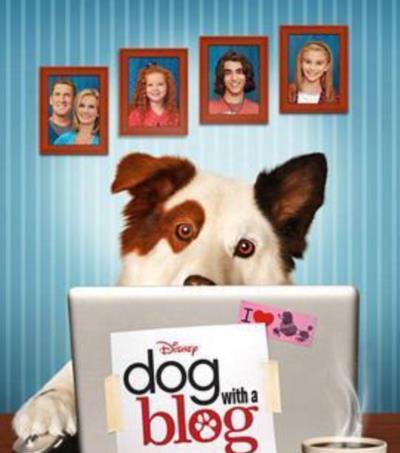 狗狗博客第三季