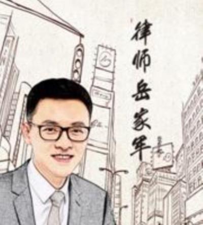 律师岳家军第2季