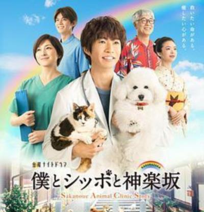 我与尾巴与神乐坂