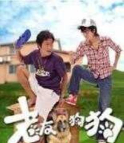 老友狗狗国语版