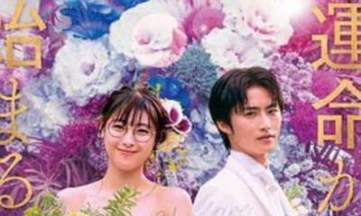 命中注定我爱你[日版]