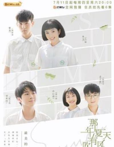 那年夏天有风吹过
