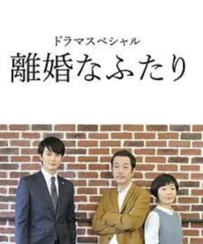 离婚的二人