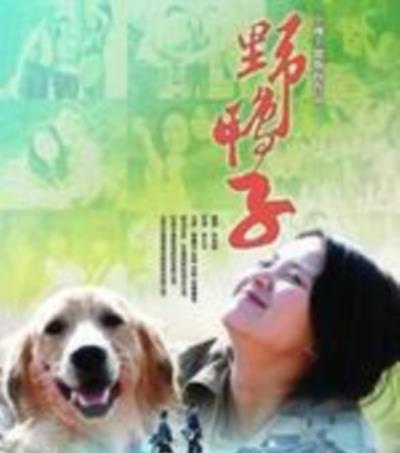 野鸭子