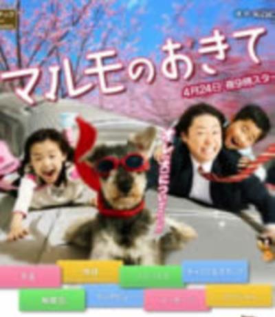 高护木的规矩/阿护一家/MARUMO的规定