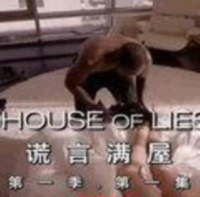 谎言满屋/流言满屋/谎言堂第一季