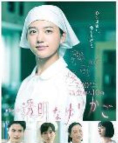 透明的摇篮