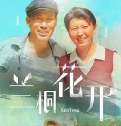 兰桐花开
