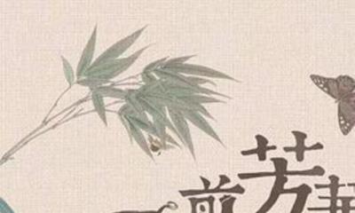 一剪芳华