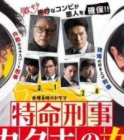 确保之女神奈川县警・特命搜查