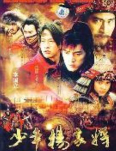 少年杨家将