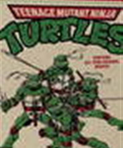 忍者神龟3：时空武士