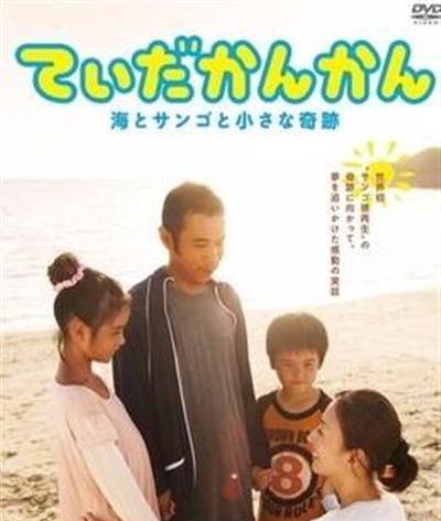 阳光灿烂 大海珊瑚小小的奇迹