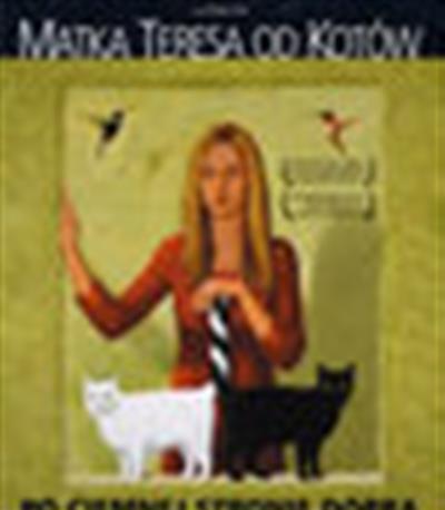 猫咪的圣母特蕾莎