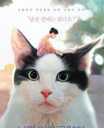 只有我没有猫