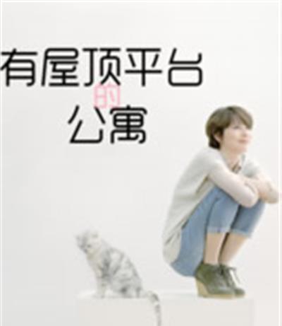 有屋顶平台的公寓
