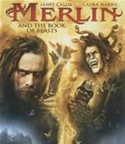 梅林和野兽之书