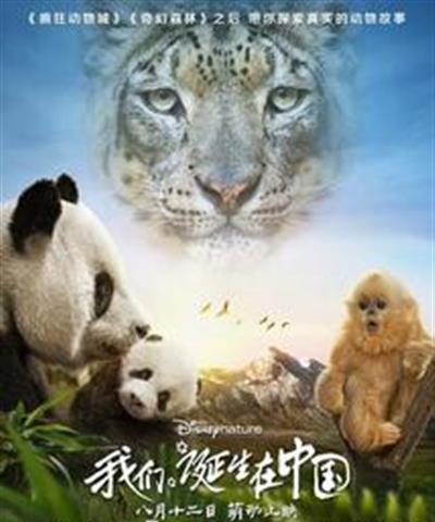 我们诞生在中国