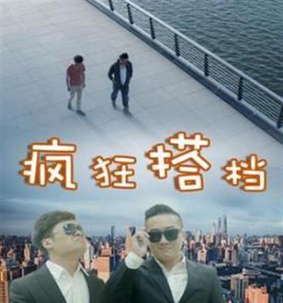 疯狂搭档