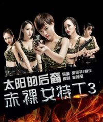 赤裸女特工3太阳的后裔