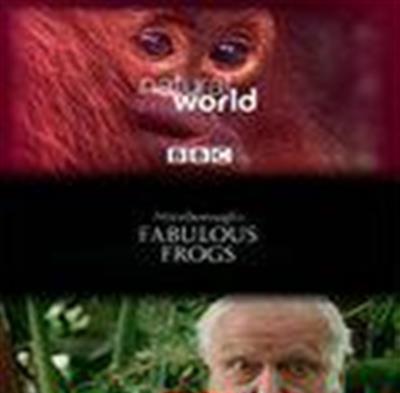 大自然爱登保罗爷爷带你看绝妙的蛙