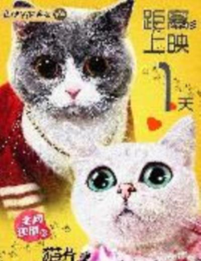 猫片之无喵生还