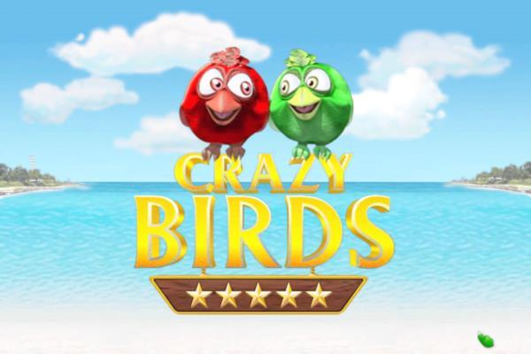 最新单机游戏《疯狂的小鸟》