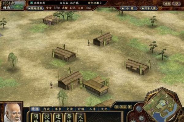 经典单机游戏《信长之野望11》