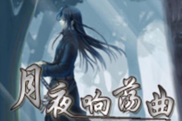 最新单机游戏《月夜响荡曲》