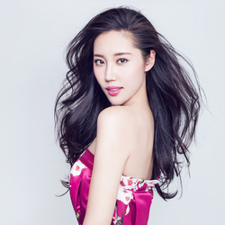 叶美毅