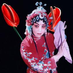 王素君