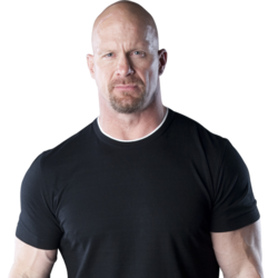 史蒂夫·奥斯汀