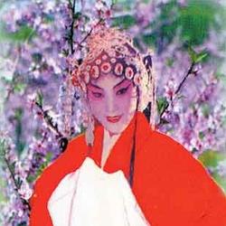杨至芳