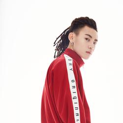 王琳凯