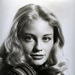 斯碧尔·谢波德