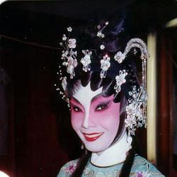 梅雪诗