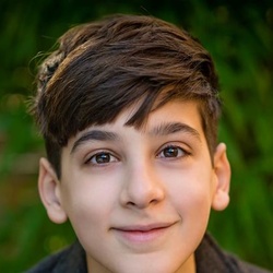 利诺·法希奥利