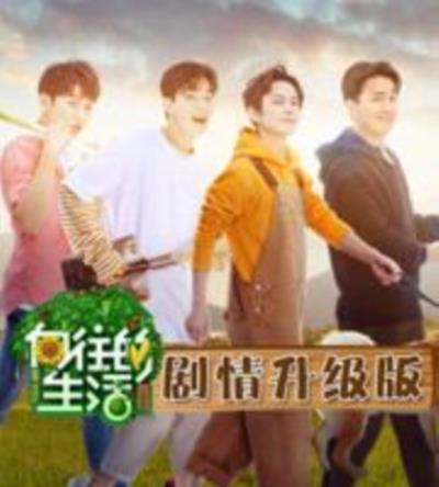 向往的生活剧情升级版