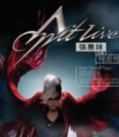 张惠妹阿密特首次世界巡回演唱会