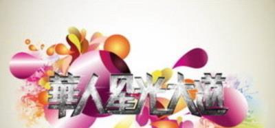 华人星光大道3-20131006~20131027