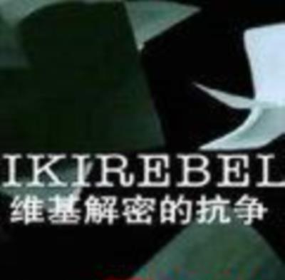 维基解密的抗争