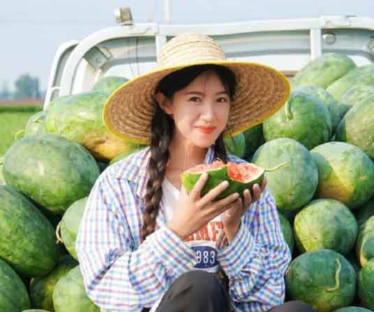 麦小登