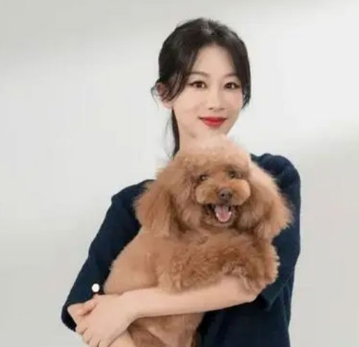 杨紫