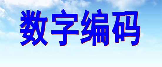 数学数码就是数字吗