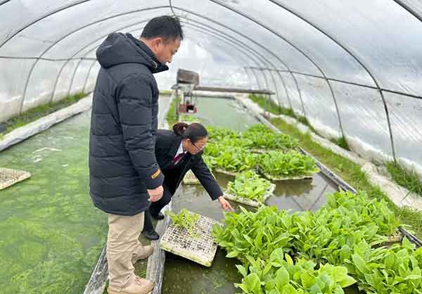 永州 乘网红经济之风