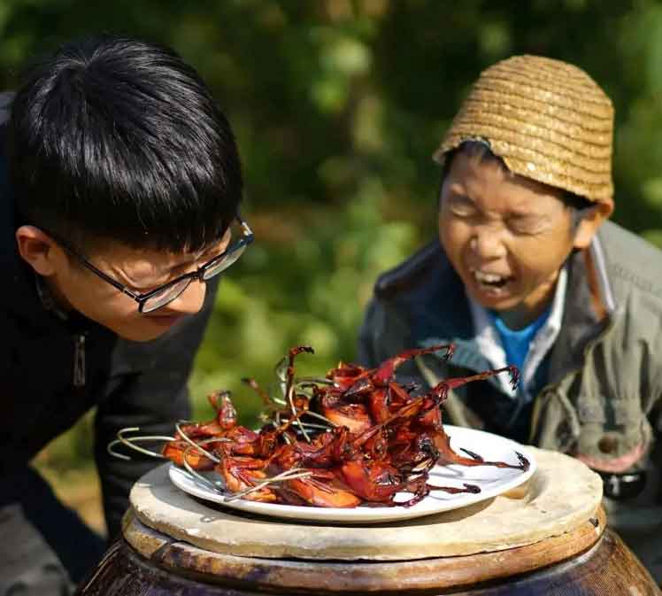 网红康仔农人疑似翻车