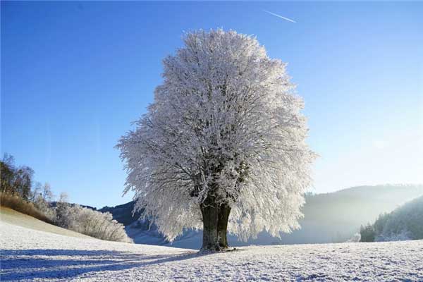 银装素裹多地加入下雪群聊