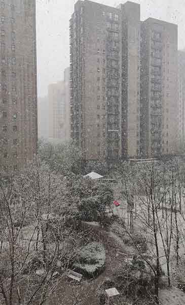 河南多地迎来3月桃花雪