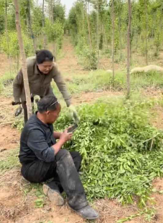 求水林场主:曾坐奔驰宝马现坐三轮